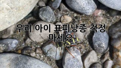 우리 아이 표피낭종, 걱정 마세요!
